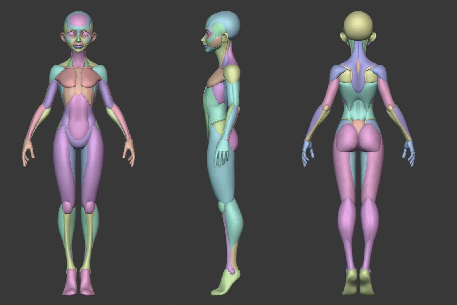 ArtStation - Stylized Female Anatomy , George Zaky | Female anatomy, Female anatomy reference, Anatomy
